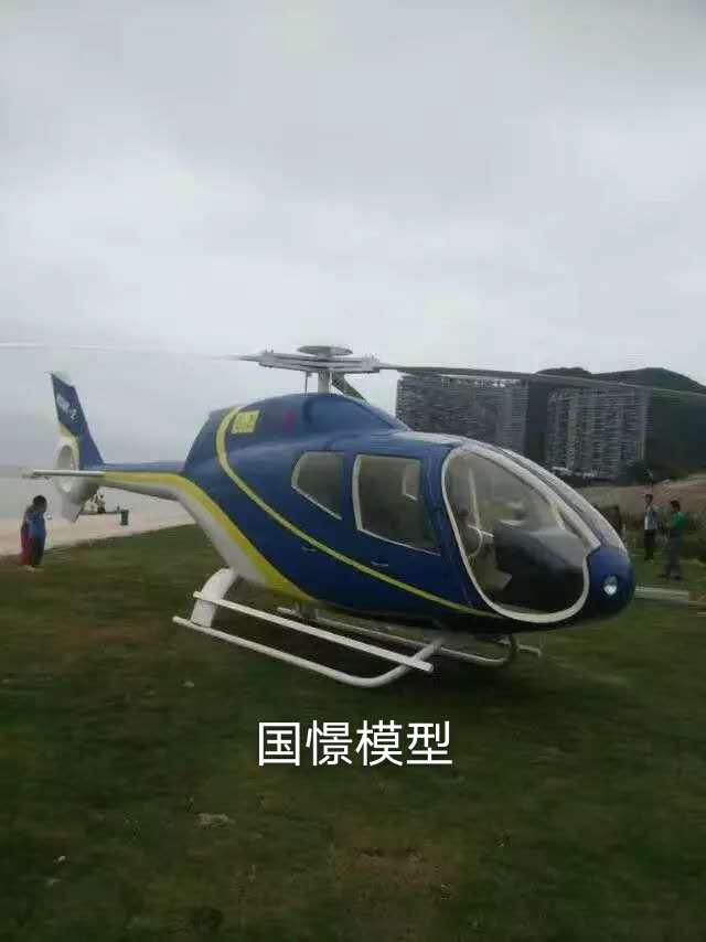 成武县飞机模型